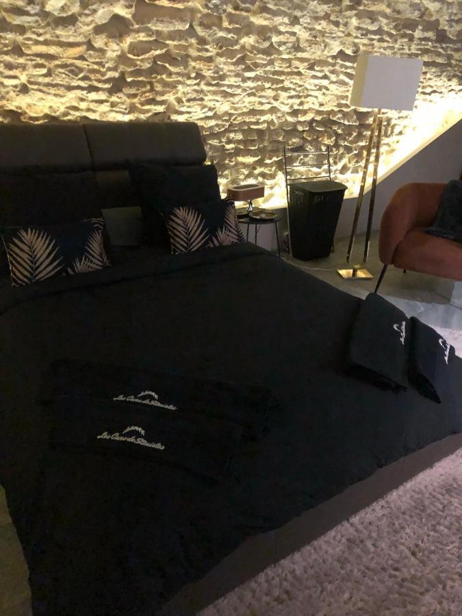 Jaccuzi & Des Caves Stanislas Appartement Nancy